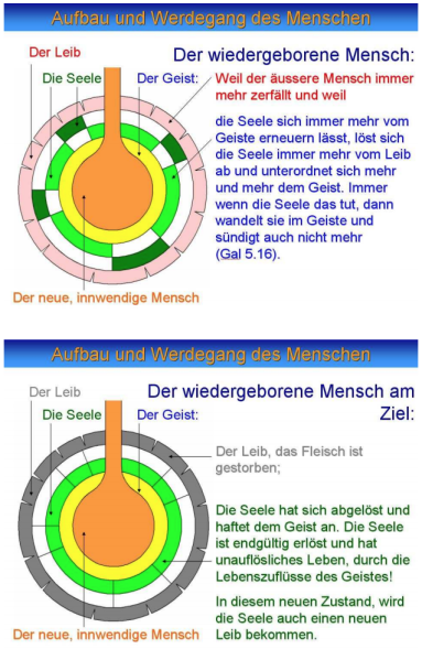 Datei:Aufbau mensch 7.png